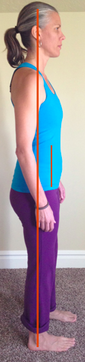 Standing alignment for back and hip health