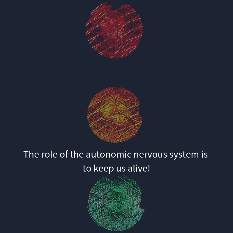 The key to health: regulation of the autonomic nervous system